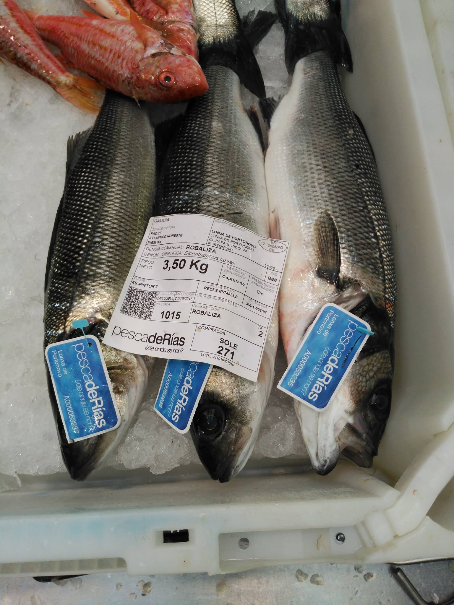 Ejemplo de etiquetado de pescado